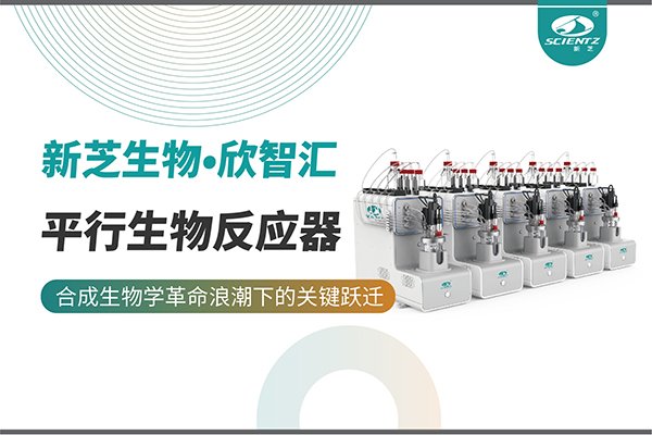 培養菌株和評估工藝參數影響太難太慢？平行生物反應器提供關鍵解決方案！