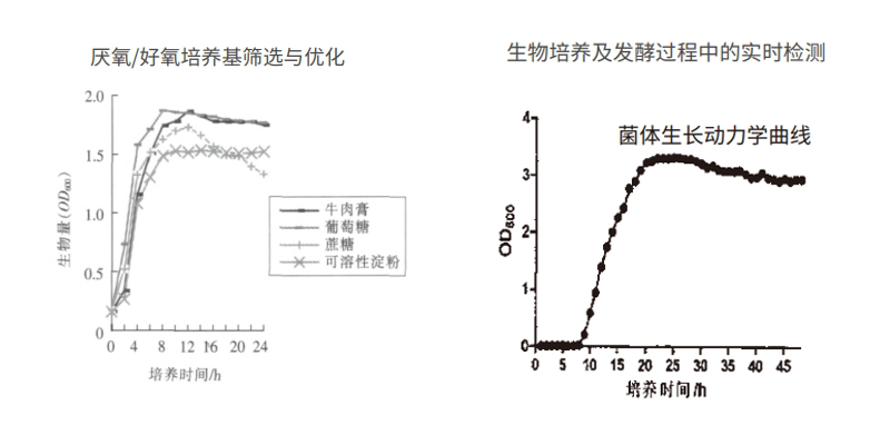 過程安全,結果精準