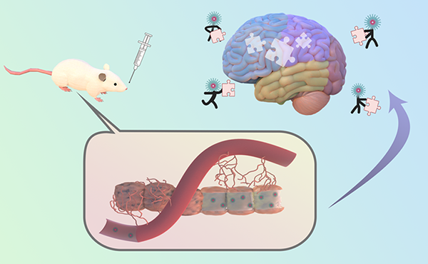 微信圖片_2026-01-22_133650_225